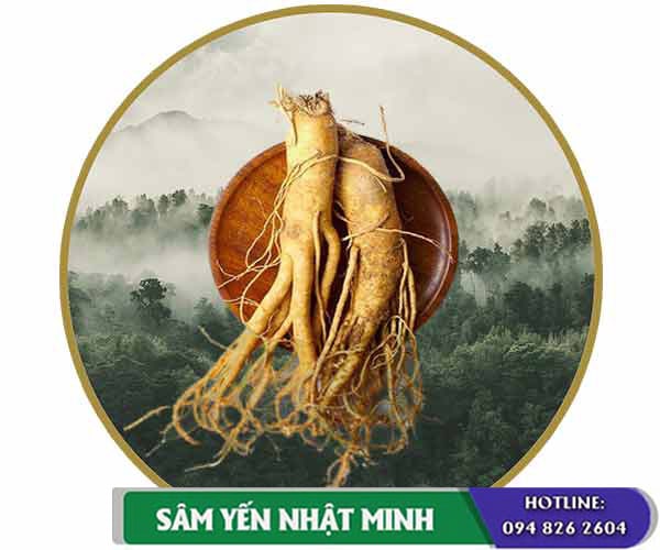 Nhân Sâm Hàn Quốc