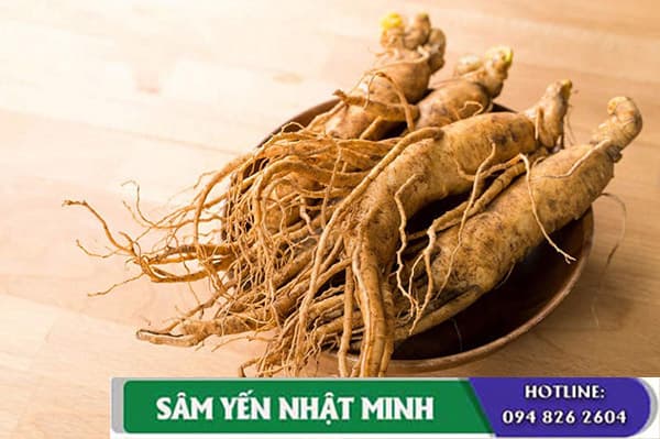 nhân sâm hàn quốc là loại dược liệu quý nhất