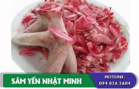 thành phần dinh dưỡng nhung tươi thái lát
