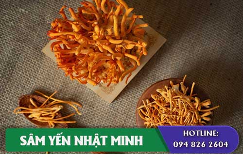 Đông Trùng Hạ Thảo Hàn quốc tốt cho sức khỏe