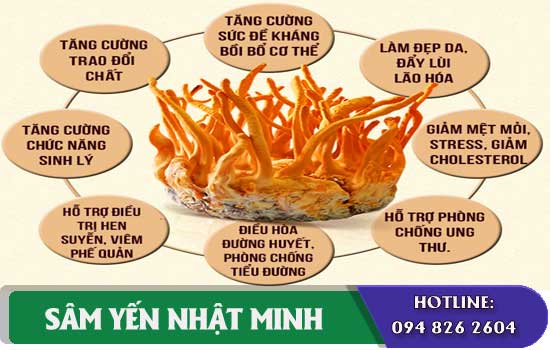tác dụng bảo vệ sức khỏe Nước Đông Trùng Hạ Thảo KGS