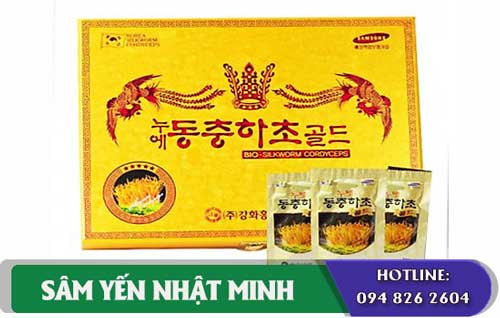 chống chỉ định khi dùng đông trùng hạ thảo