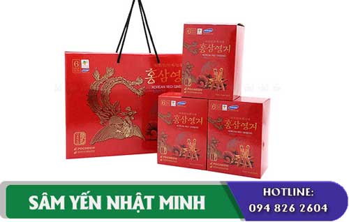 Nước hồng sâm linh chi Pocheon nâng cao sức khỏe