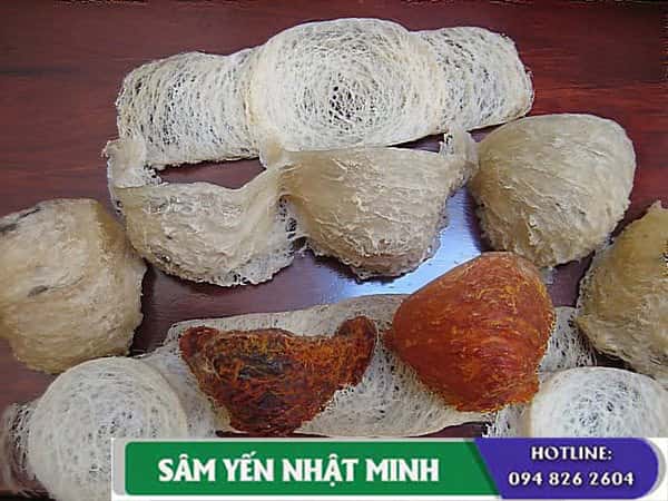 yến sào ngâm nước