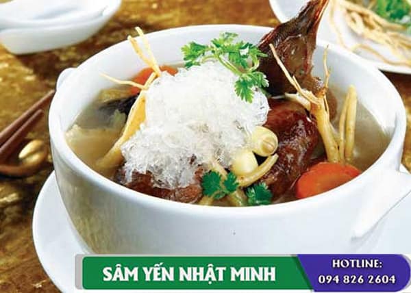 súp yến bồ câu
