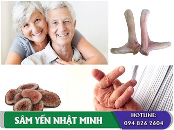 Tác dụng của nhung hươu đối với người già