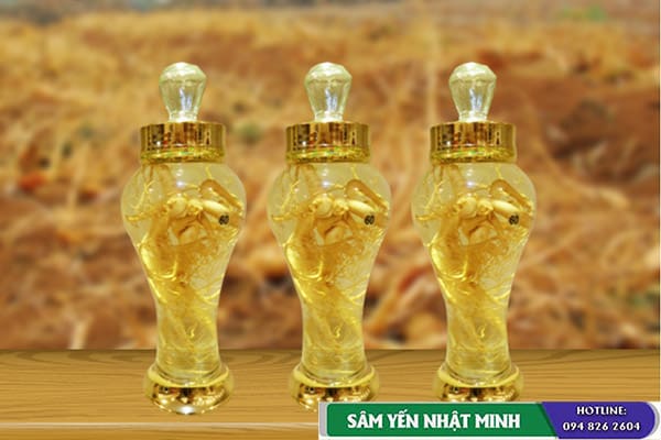 rượu nhân sâm