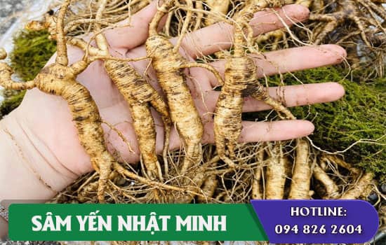 Tác dụng của nhân sâm đối với sức khỏe