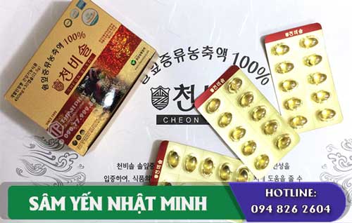 tăng sắc đẹp nhờ Tinh dầu thông đỏ Cheon Bi Sol