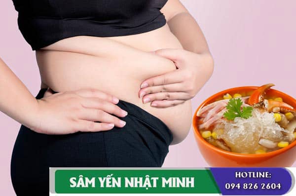 Ăn tổ yến có tăng cân không