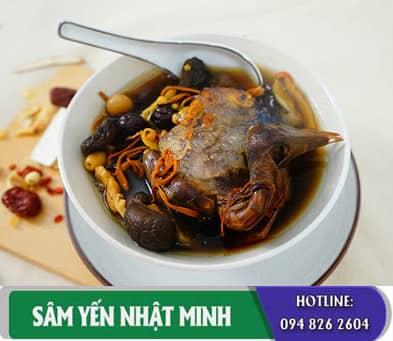 Tổ yến gà ác tiềm thuốc bắc