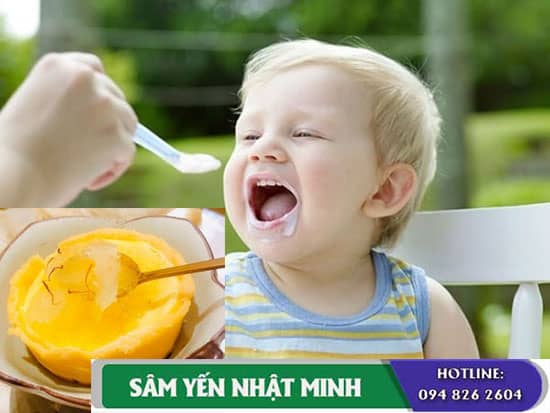 Tổ yến sào chưng trứng sữa