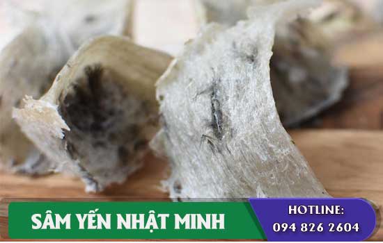 Tổ Yến Tam Giác Trắng hỗ trợ bệnh hen