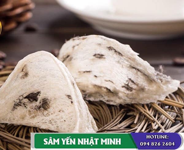 yến sào tốt nhất