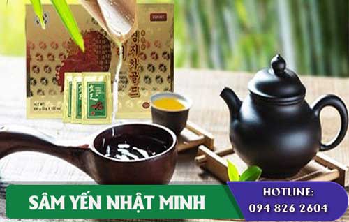 uống linh chi điều trị bệnh