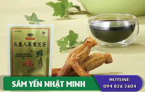 cách dùng Trà Hồng Sâm Linh Chi Bio