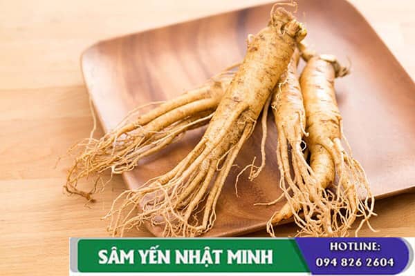 ứng dụng nhân sâm trong phương pháp chữa bệnh