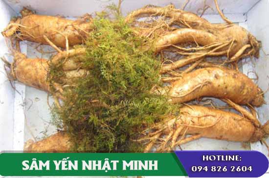 phương pháp sấy khô bảo quản nhân sâm