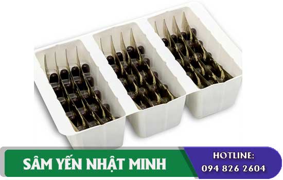 viên hồng sâm tốt cho sức khỏe người già