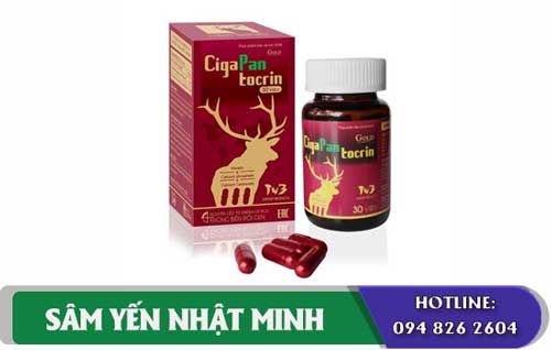 vien nhung huou cigapan 30 vien