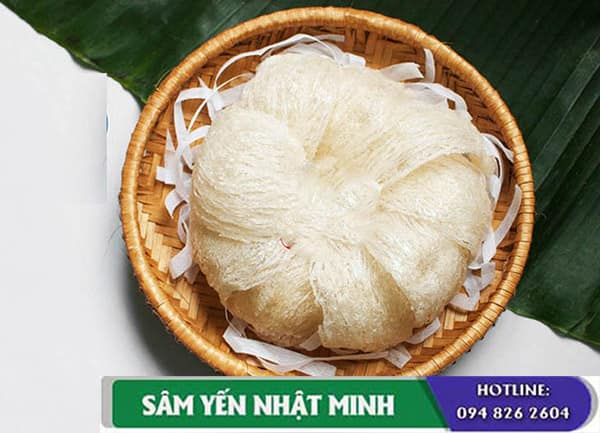 công dụng yến sào