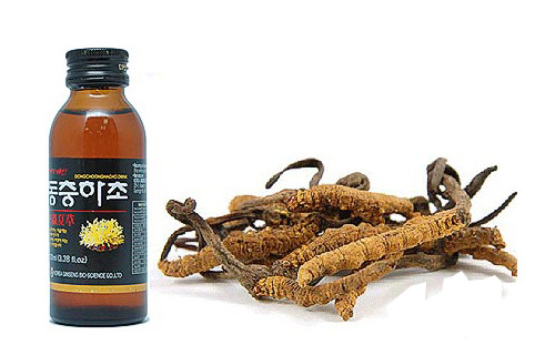 Đông trùng hạ thảo - 17