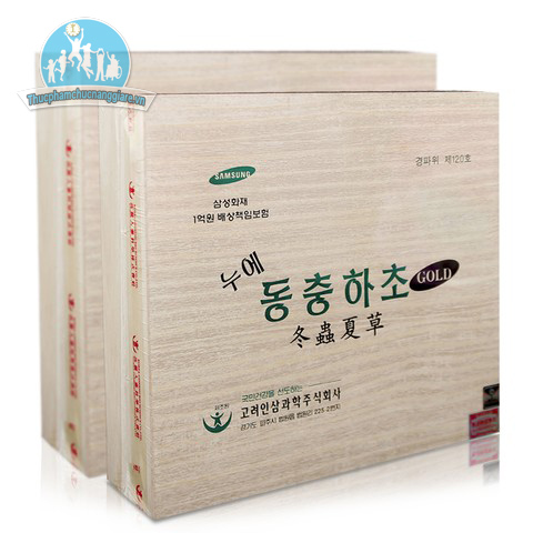 Đông trùng hạ thảo - 4