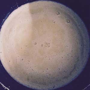 qua oc cho sua ngo