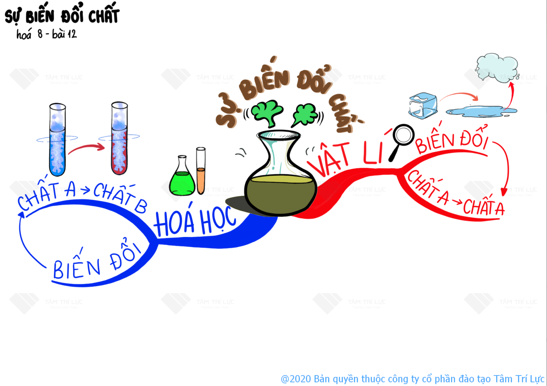 sieu-tri-nho-so-do-tu-duy