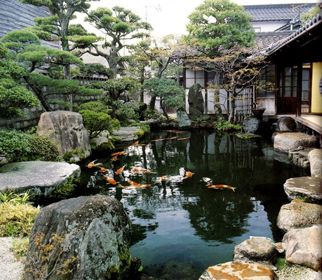 chống thấm bể cá