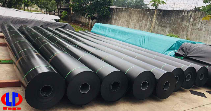 Màng chống thấm HDPE