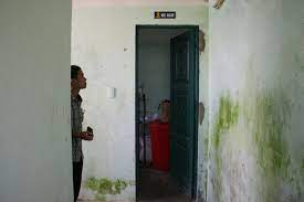 Làm nào để tường nhà hết nấm mốc