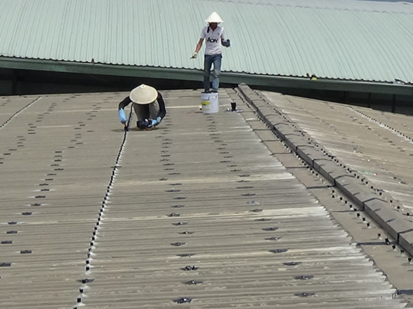 Vì sao mái tôn bị thấm dột?