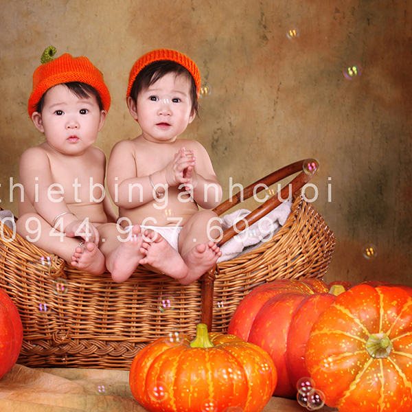 bí ngô đạo cụ chụp ảnh