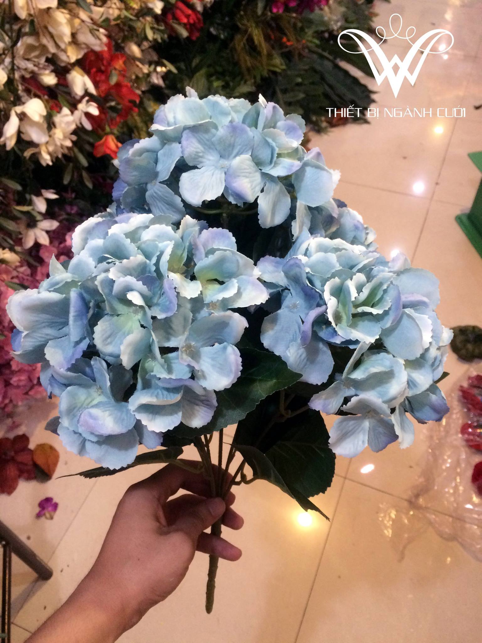 Cành cẩm tú cầu xanh
