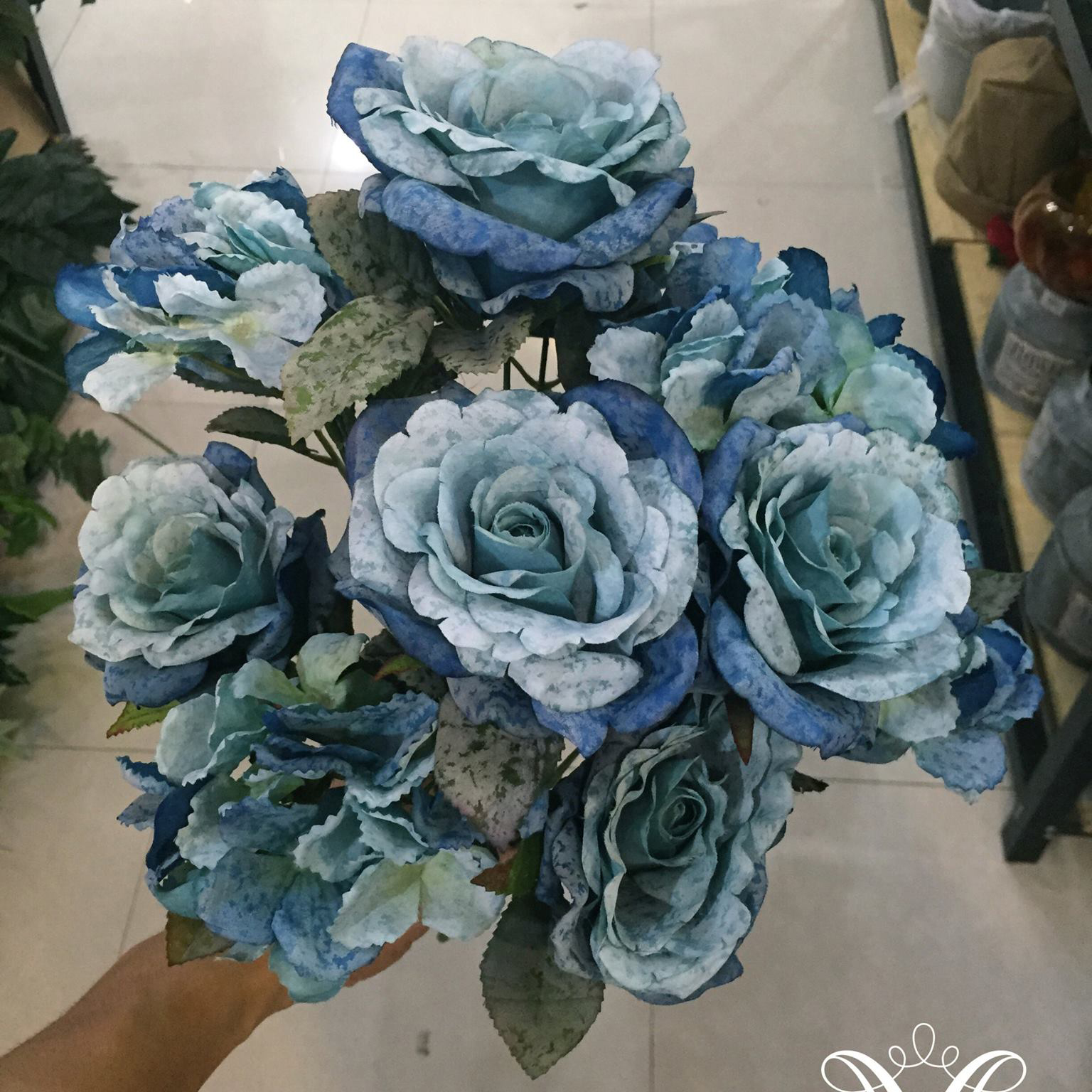 Hoa hồng cẩm tú cầu 254