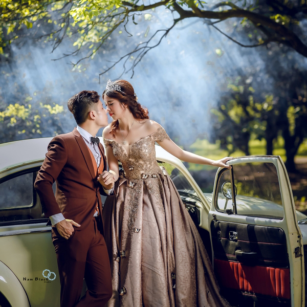 Váy cưới đẹp VJ122