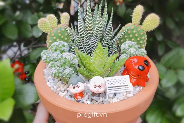 Chậu cây cảnh để bàn sẽ giúp cải thiện nguồn năng lượng cho môi trường làm việc