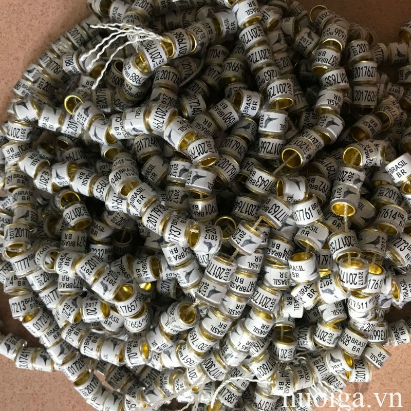 vòng chim bồ câu