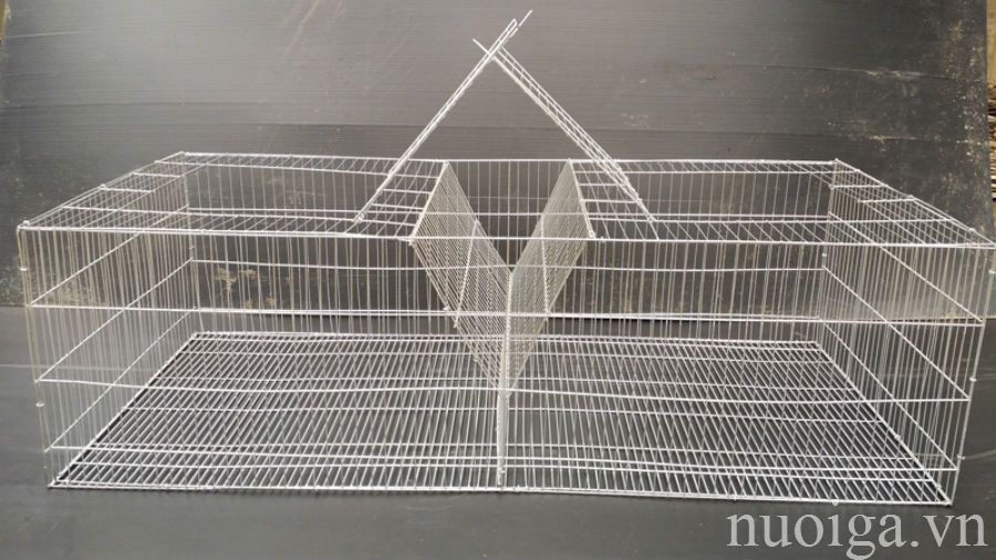 chuồng nuôi thỏ