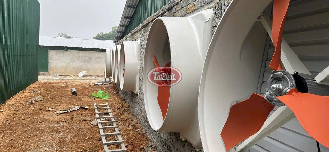 quat thông gió chuồng trại Tín Phát