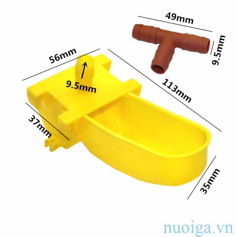 máng nước tự động bồ câu