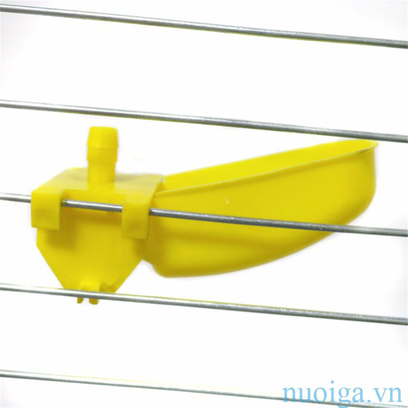 máng nuwocs chim cút