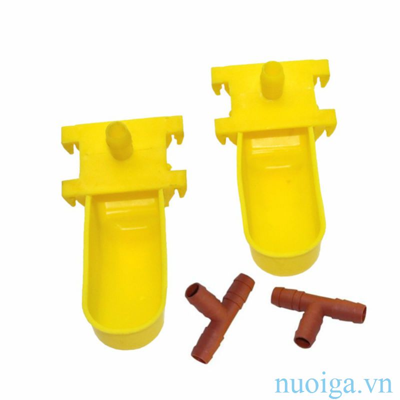 máng nước bồ câu