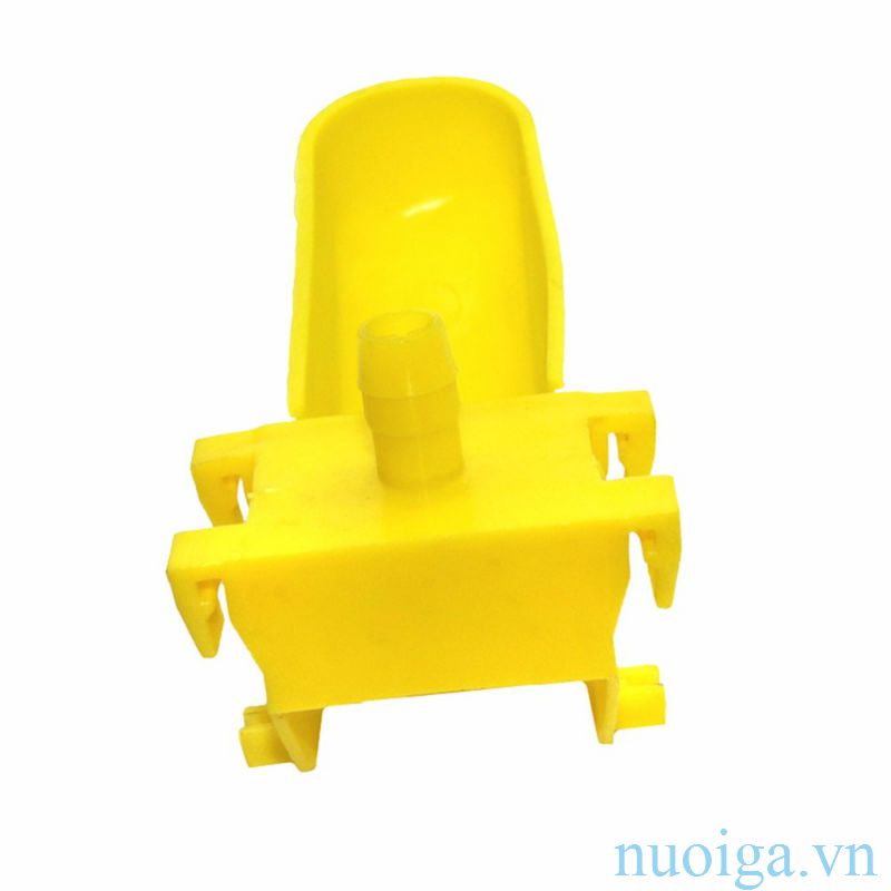 máng nước tự động bồ câu.