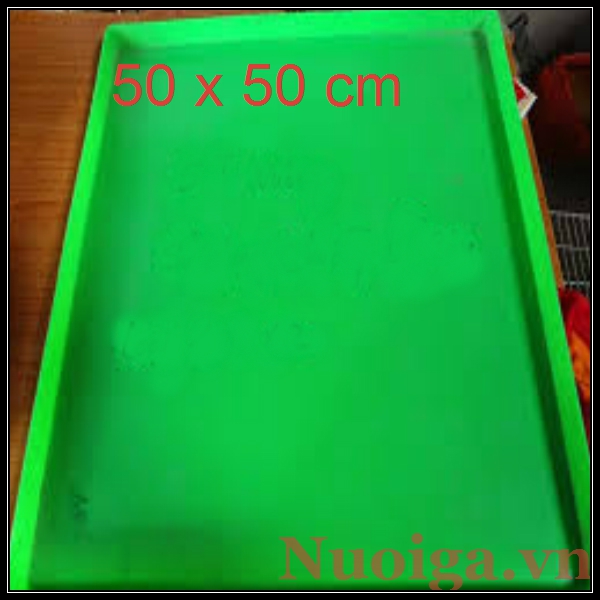 khay hứng phân cho chim câu