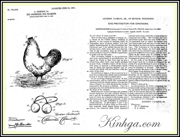 bằng sáng chế kính gà andrew Jackson, Jr 1903