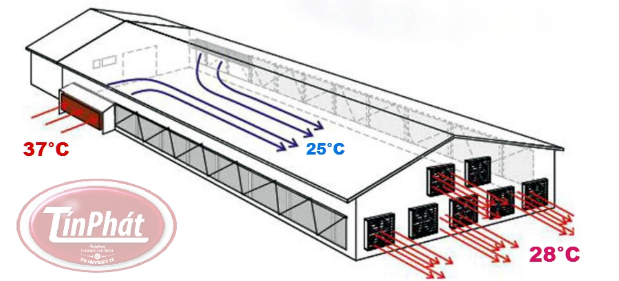 hệ thống làm mát trang trại lạnh cho heo gà vịt dê, quạt hút trnag trại, tấm làm mát cooling pad