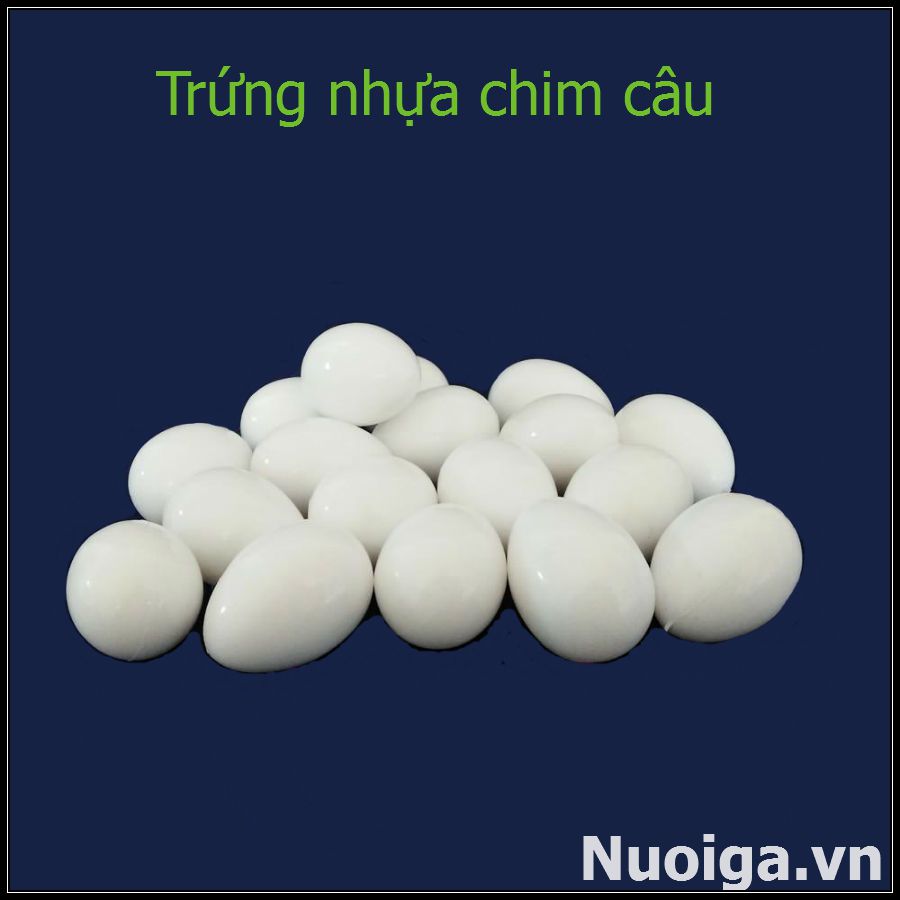 trứng bồ câu giả bằng nhựa