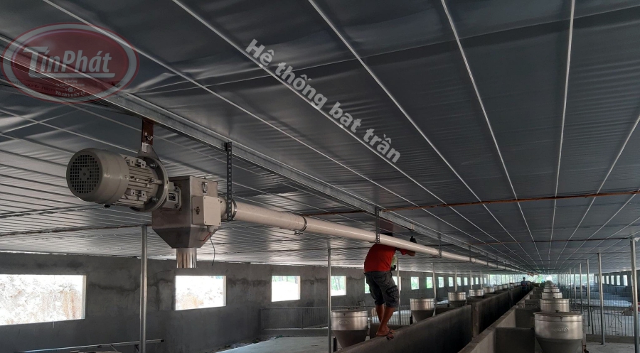 cách làm bạt trần cho trang trại
